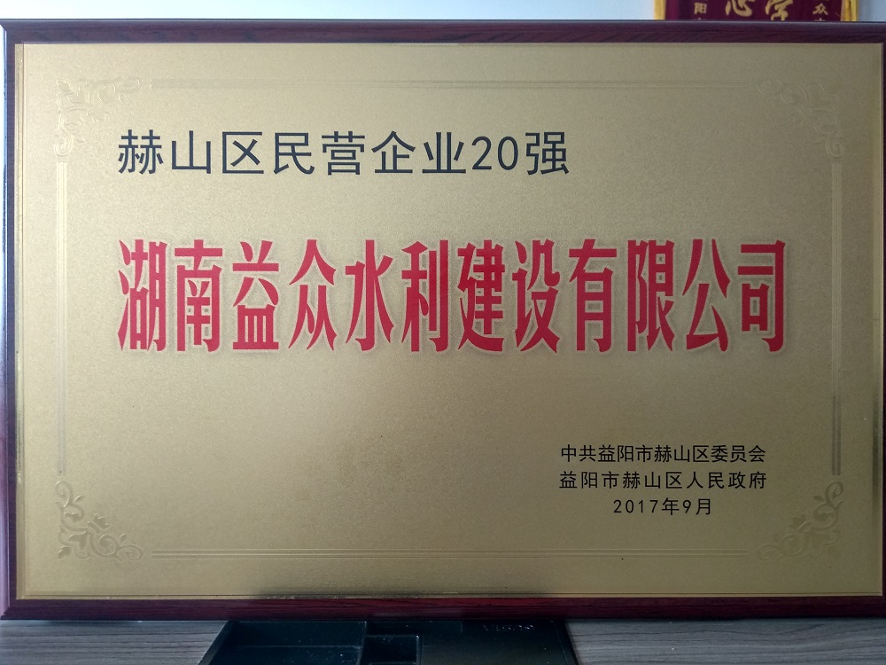民營企業(yè)20強